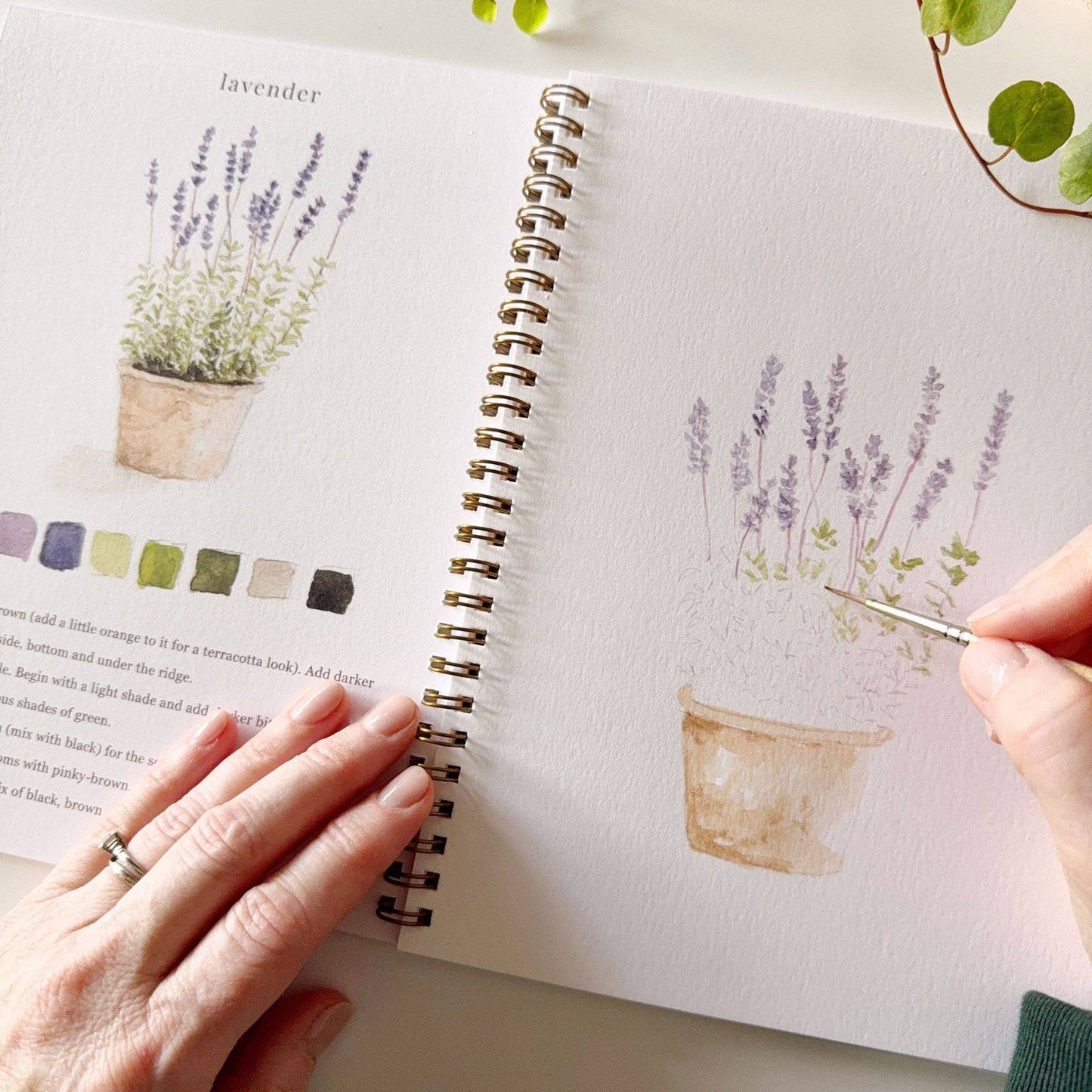 Garden Watercolour Workbook