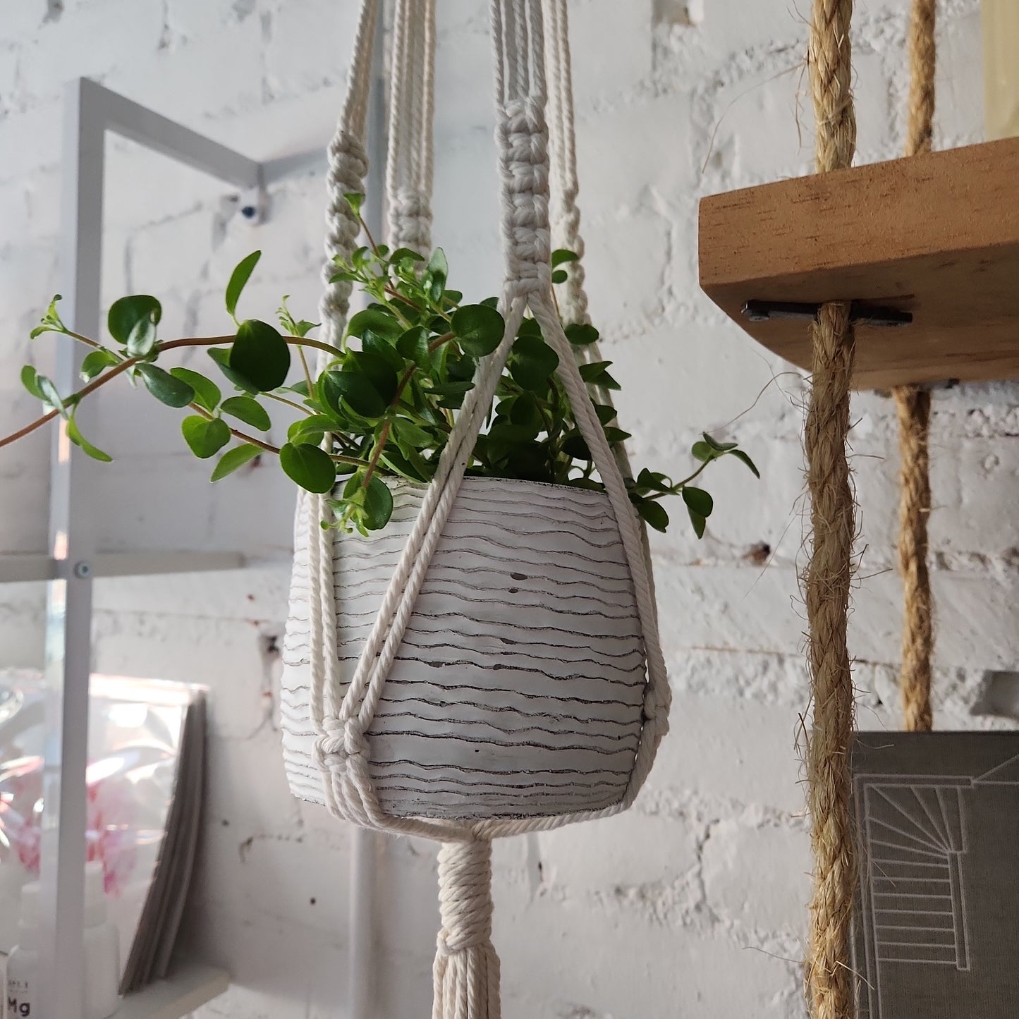 Macrame Plant Hangers