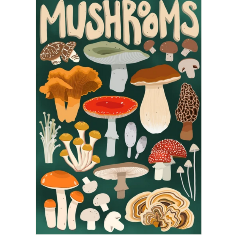 Mushroom Forager Puzzle