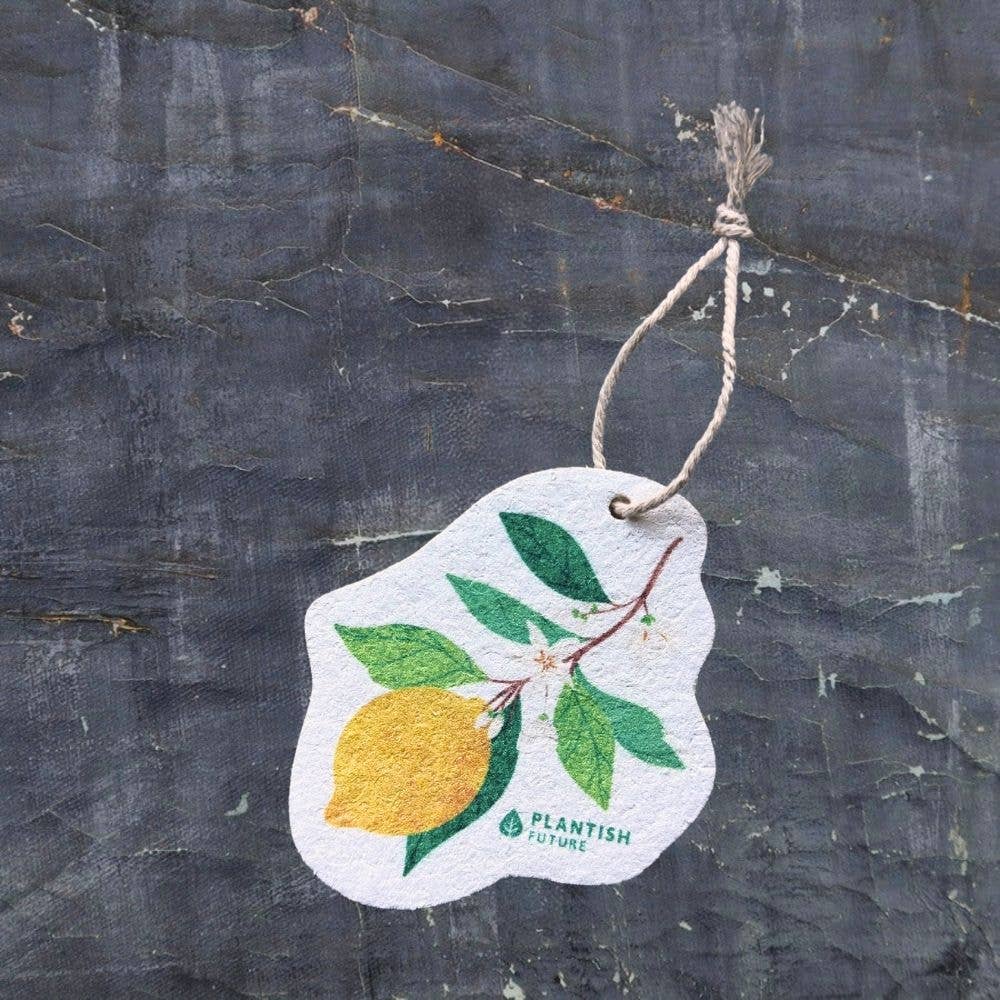 Pop Up Sponges - Vegetables