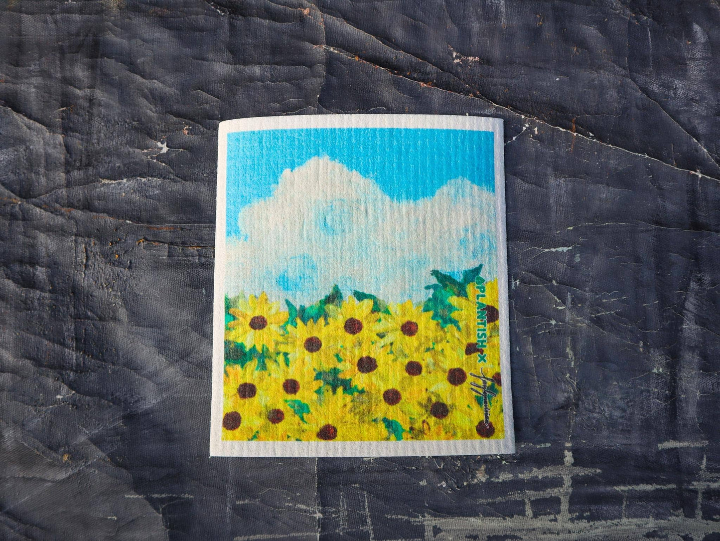 Artist Swedish Sponge Cloth