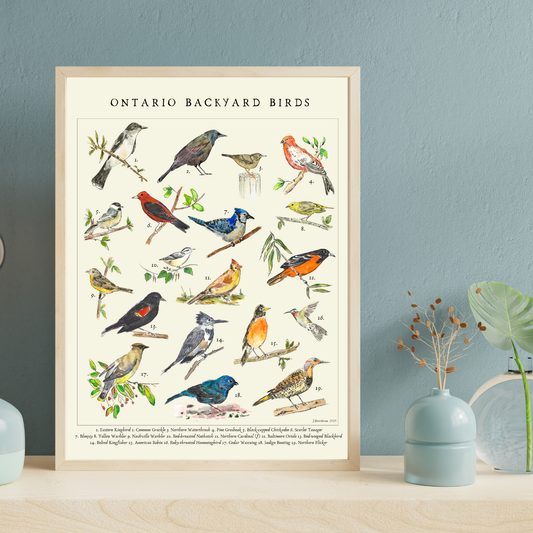 Vintage Style Ontario Backyard Birds Art Print