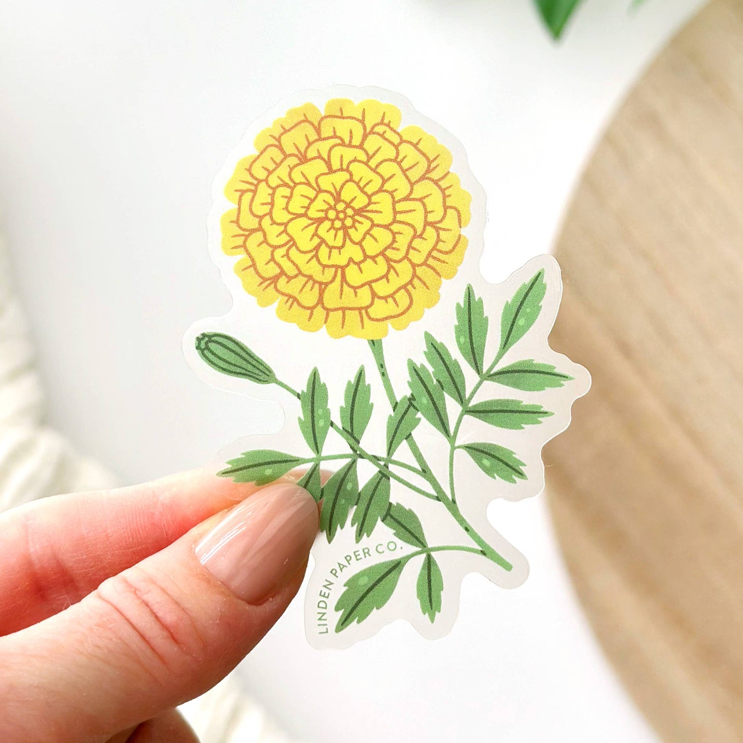 Marigold Sticker