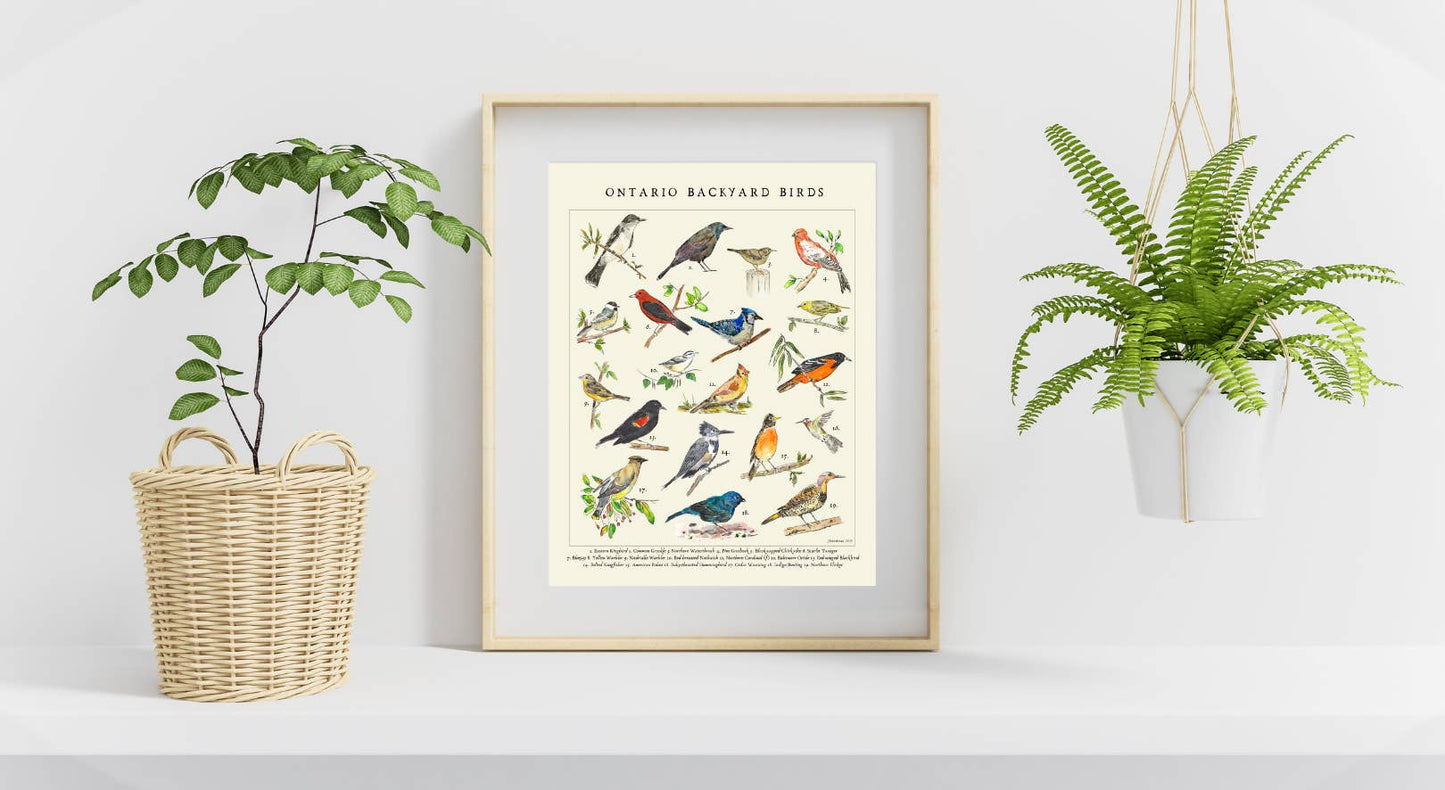Vintage Style Ontario Backyard Birds Art Print