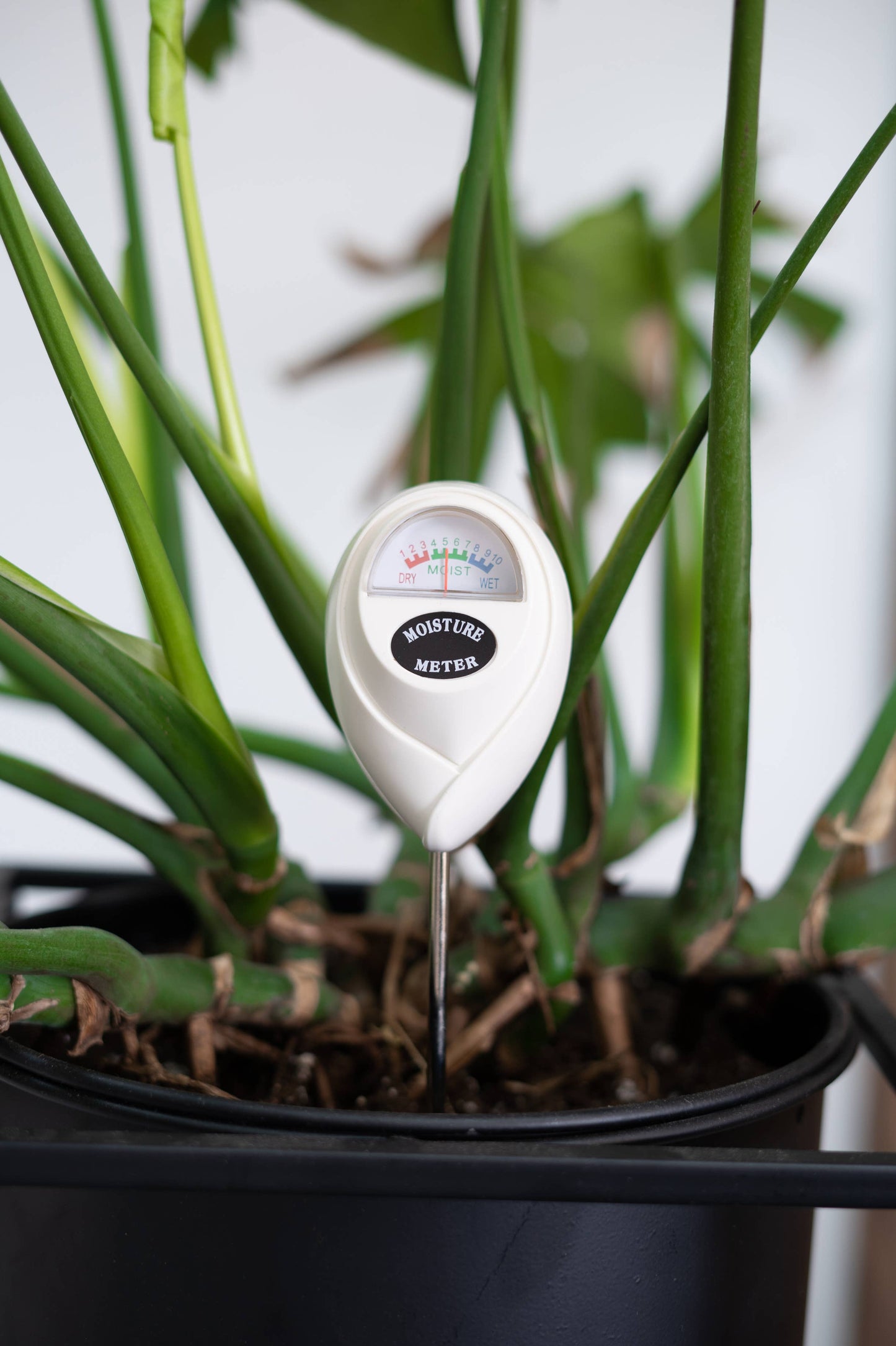Moisture Meter - Soil Tester