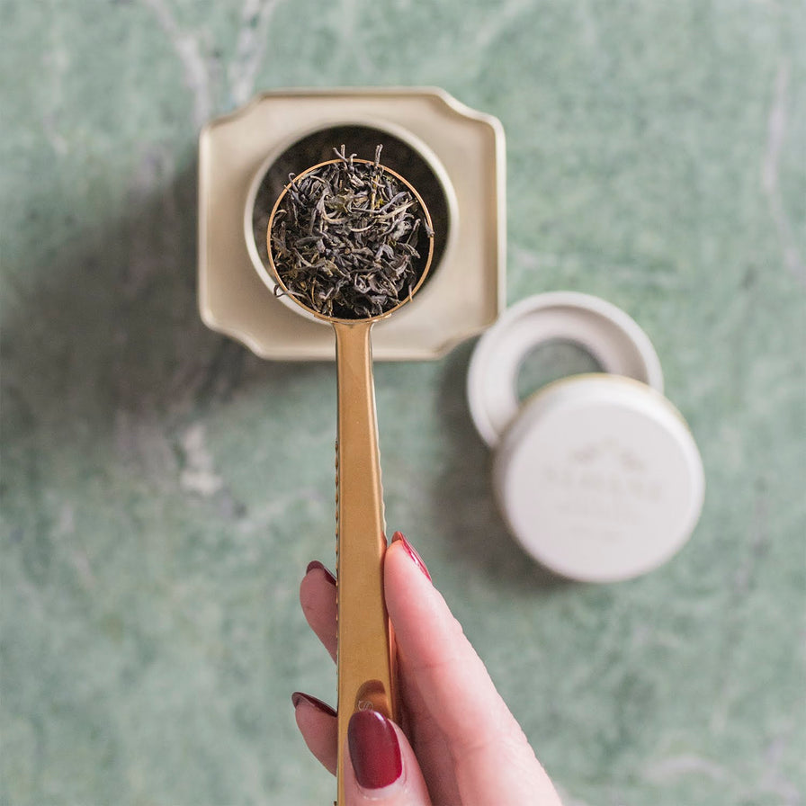 Marrakesh Mint