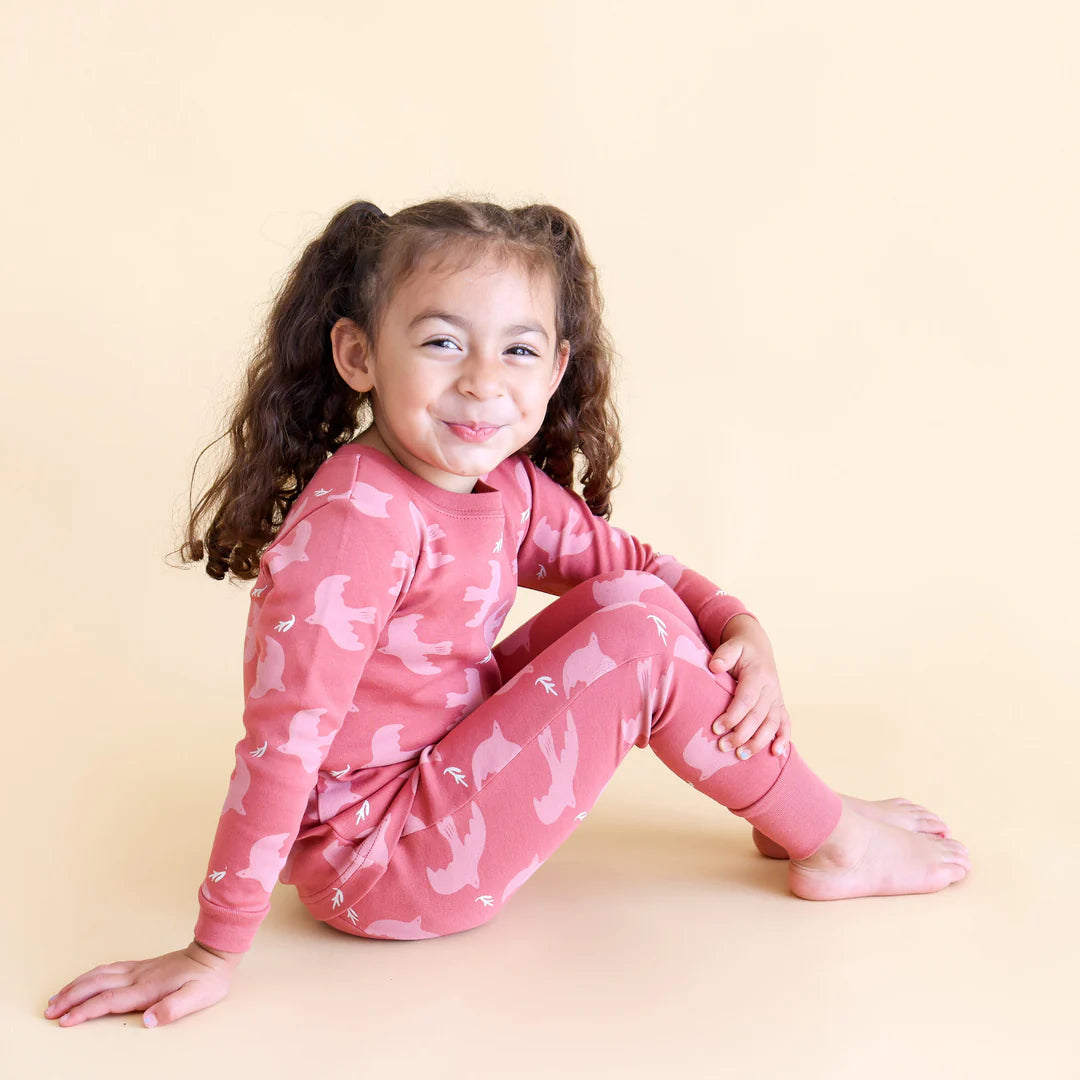 Organic Kids Matching Pajamas - Rose Doves