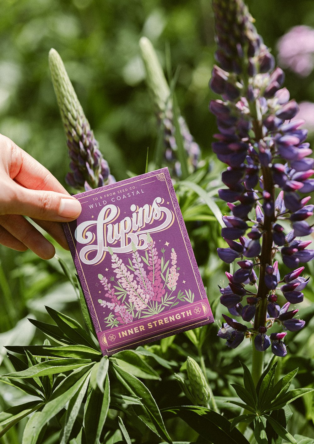 Wild Coastal Lupins (Inner Strength) - Seed Packet