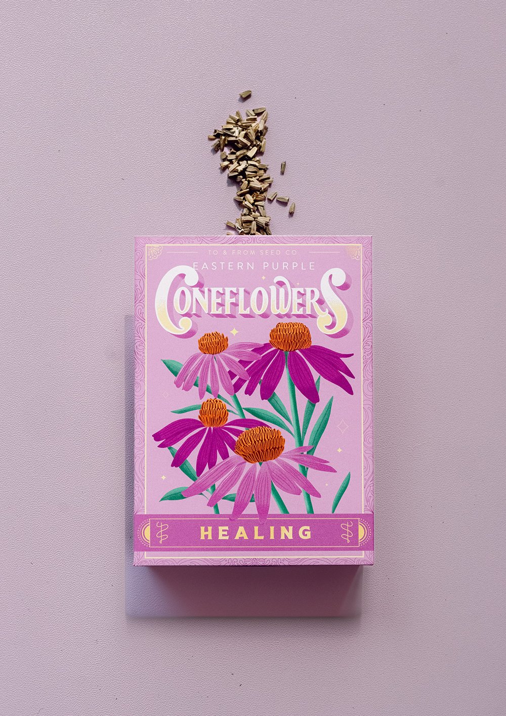 Purple Coneflowers (Healing) - Seed Packet