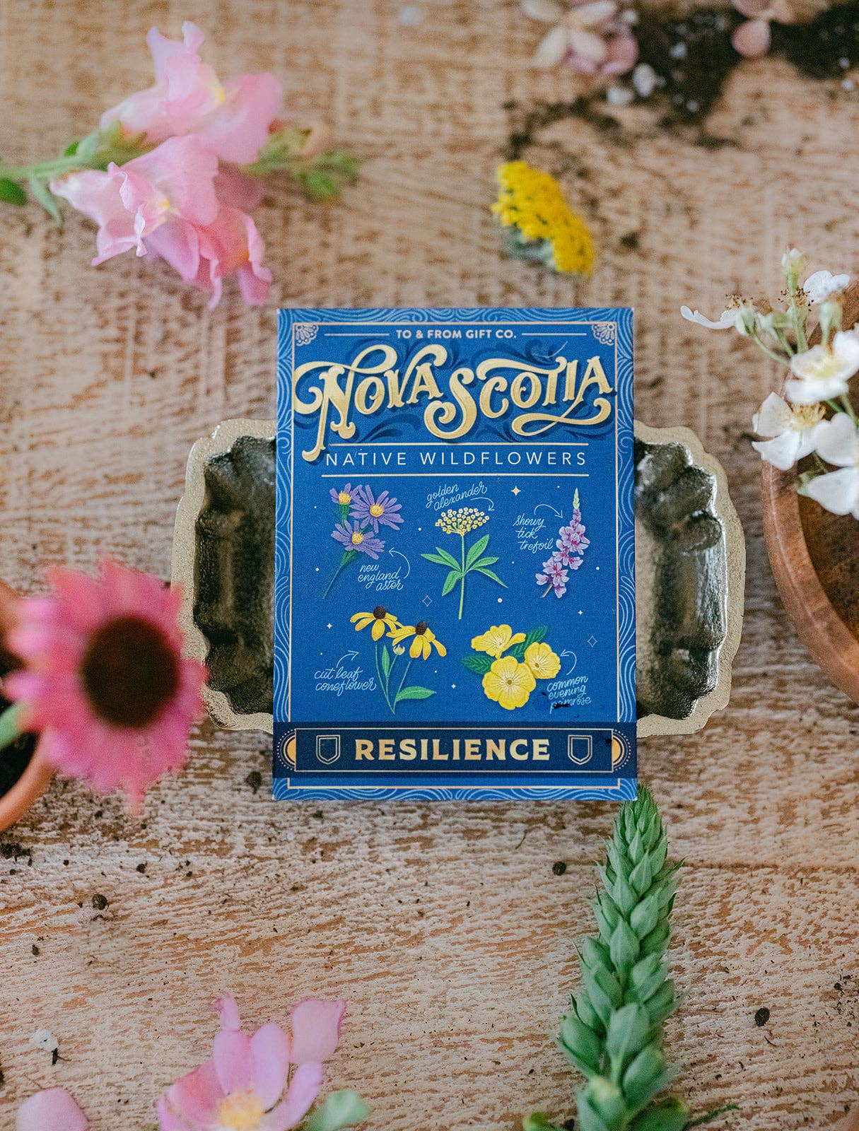 Nova Scotia Native Wildflowers (Resilience) - Seed Packet