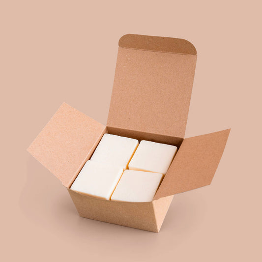 Package-Free Conditioner Bar