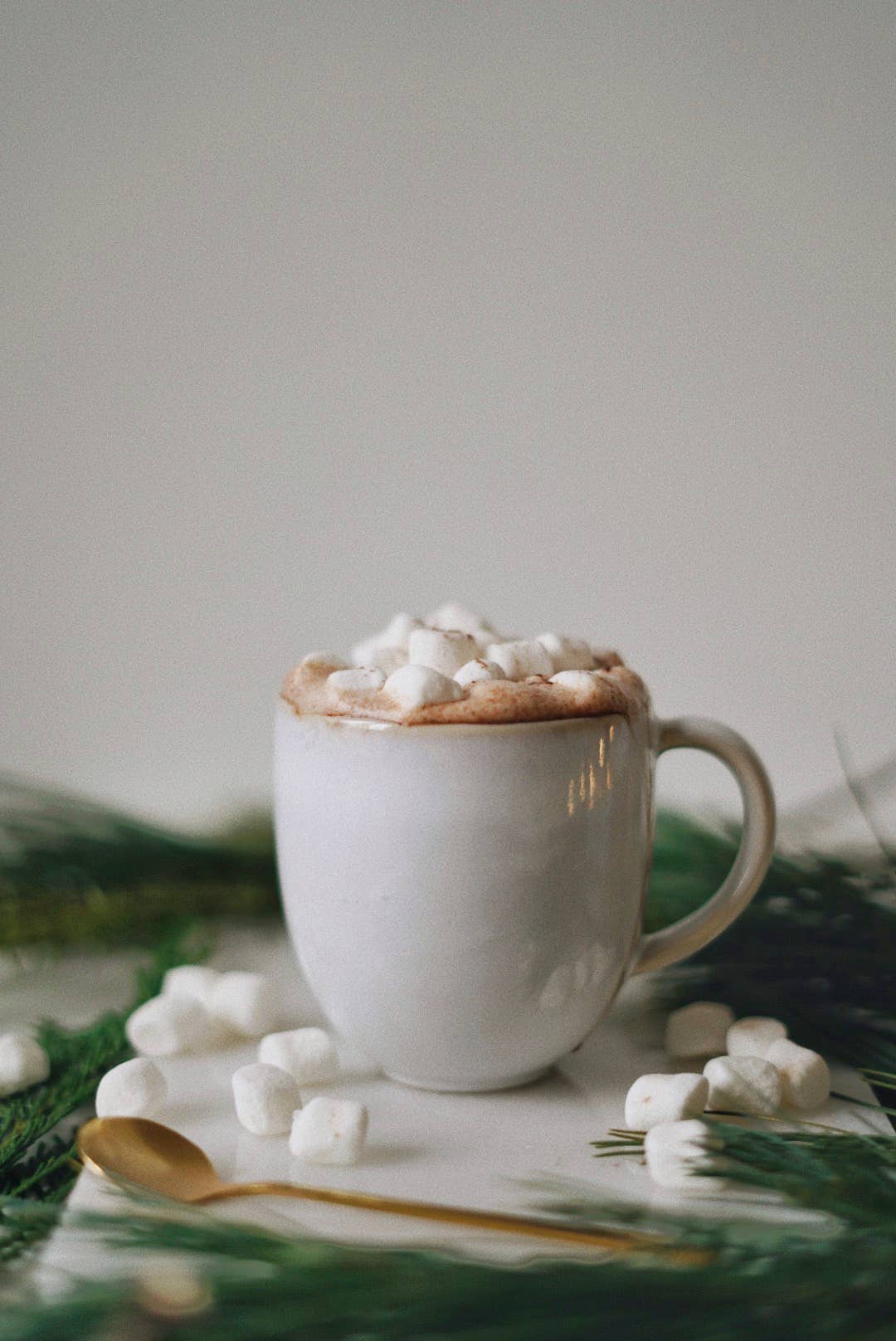 Super Cocoa - Superfood Latte Blend