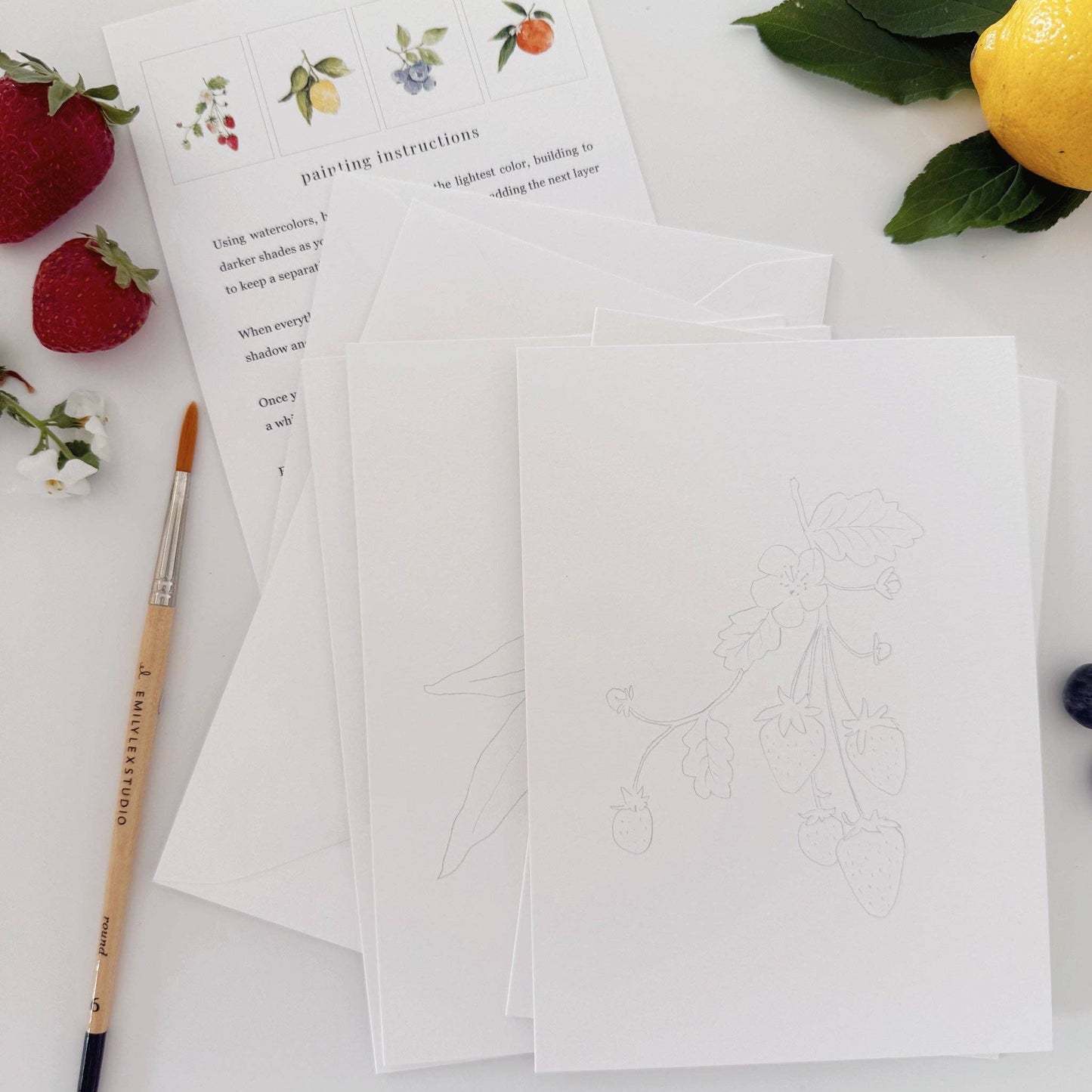 Fruit paintable watercolor notecard set