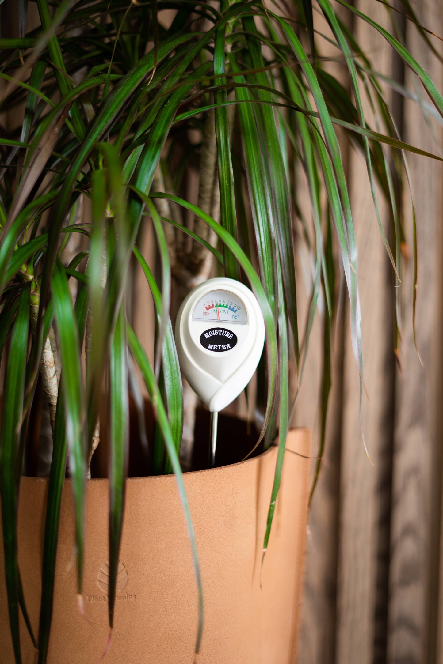 Moisture Meter - Soil Tester