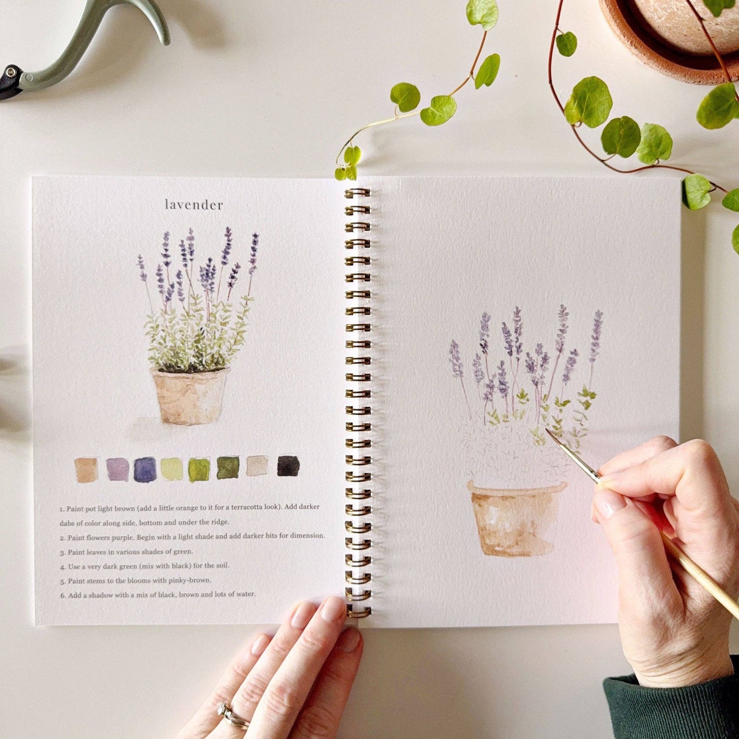 Garden Watercolour Workbook