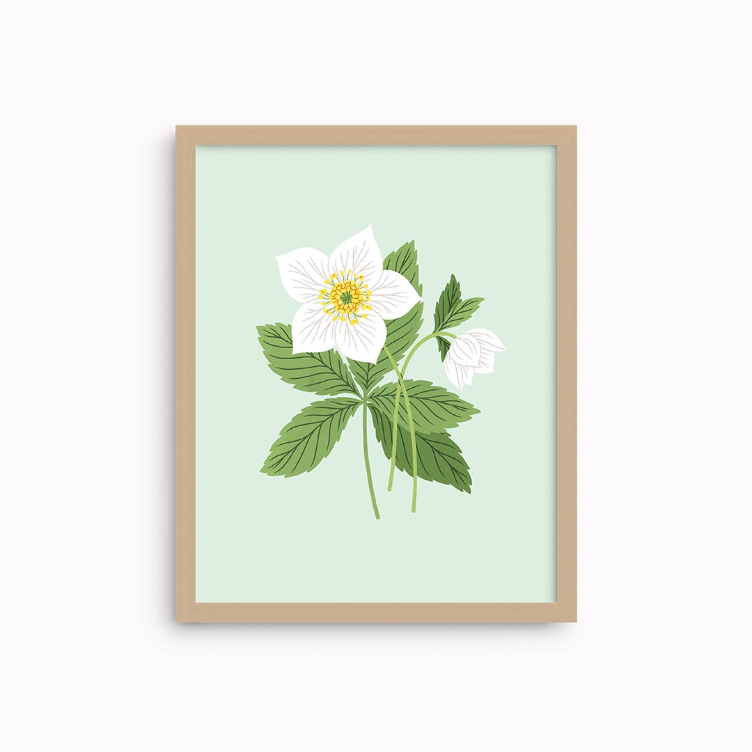 Hellebores | Art Print