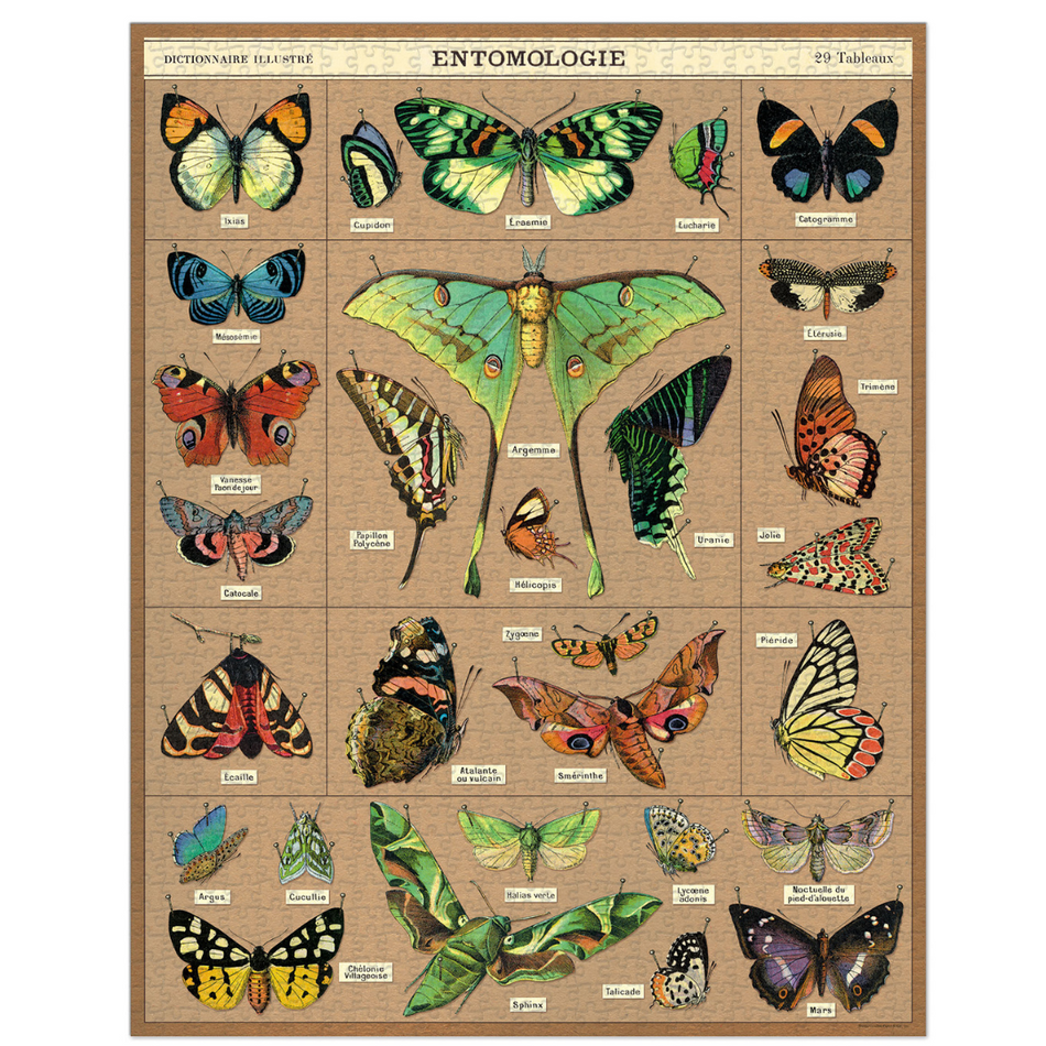 Entomologie Puzzle