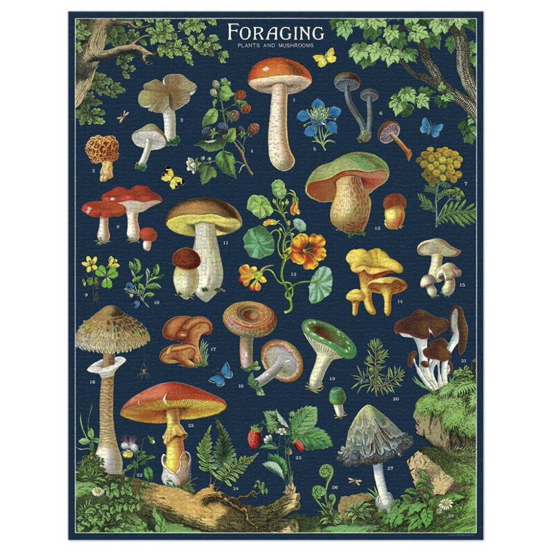 Foraging Puzzle