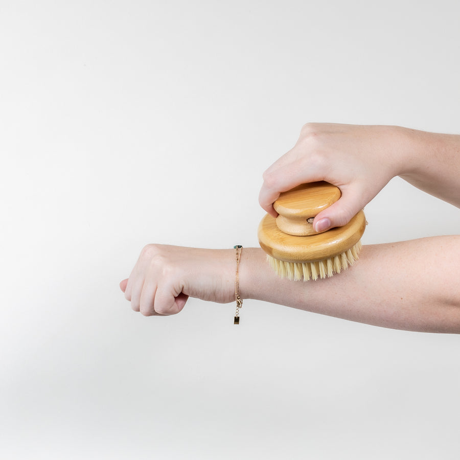 Bamboo Dry Brush