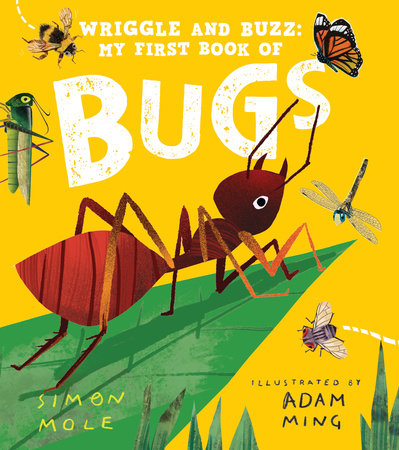 Wrighle & Buzz: My First Book of Bugs