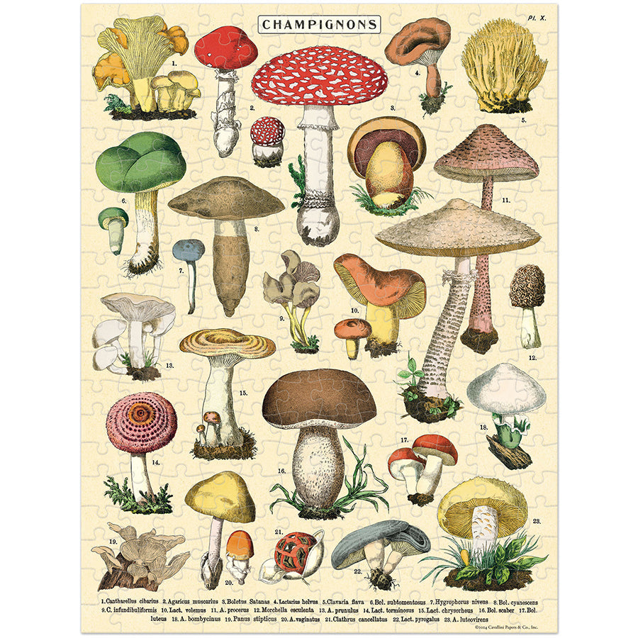 Mushroom Mini Puzzle