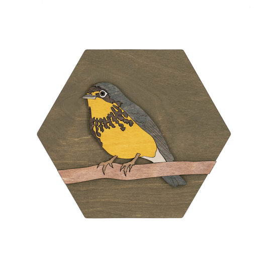 Canada Warbler Wall Art