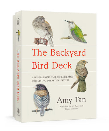 The Backyard Bird Deck