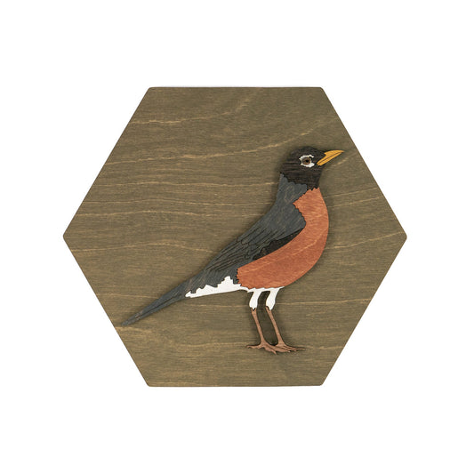 American Robin Wall Art