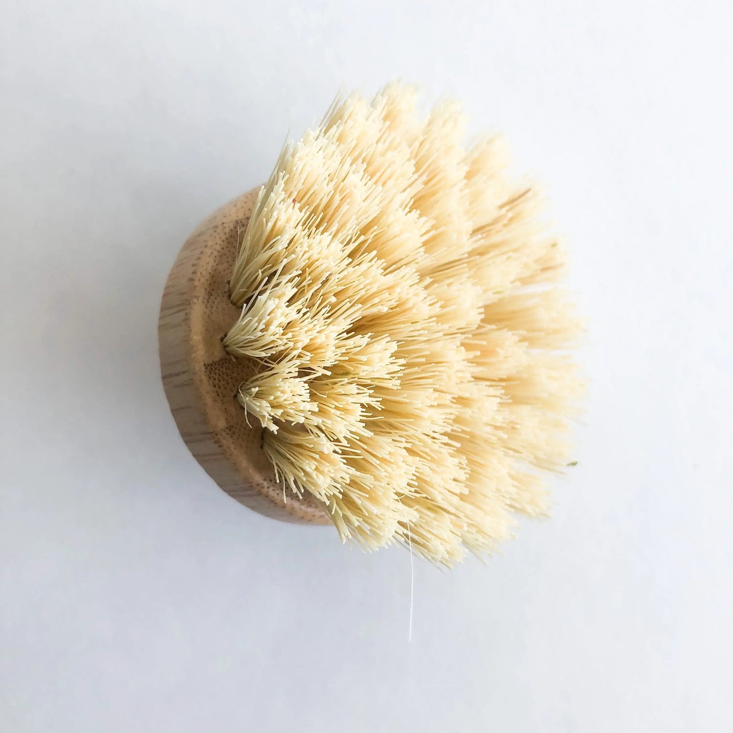 Dish Brush With Replaceable Head: Palm Head