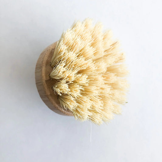 Dish Brush With Replaceable Head: Palm Head