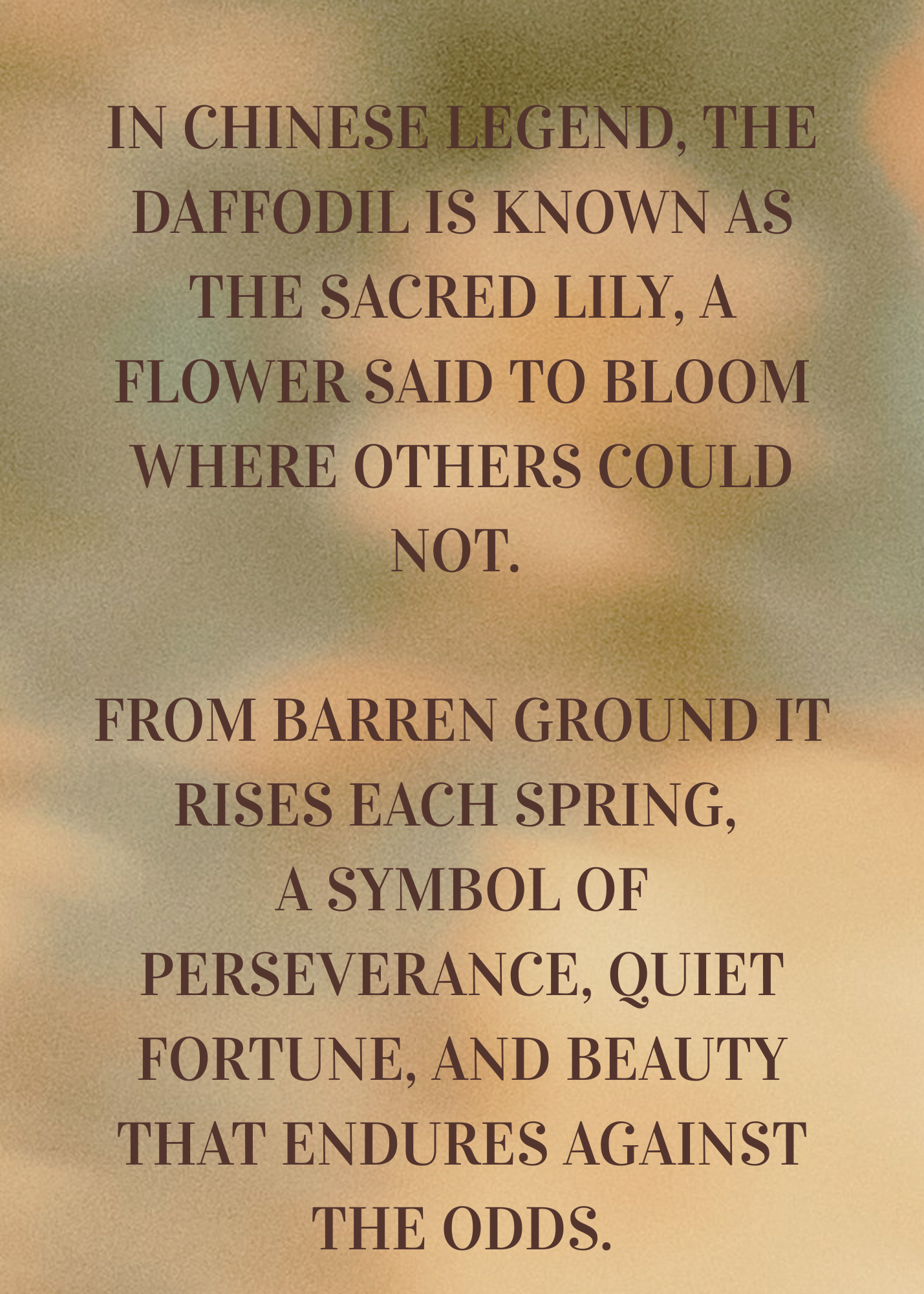 Bell Song Soap Bar (Daffodil Fragrance) - Spring Collection