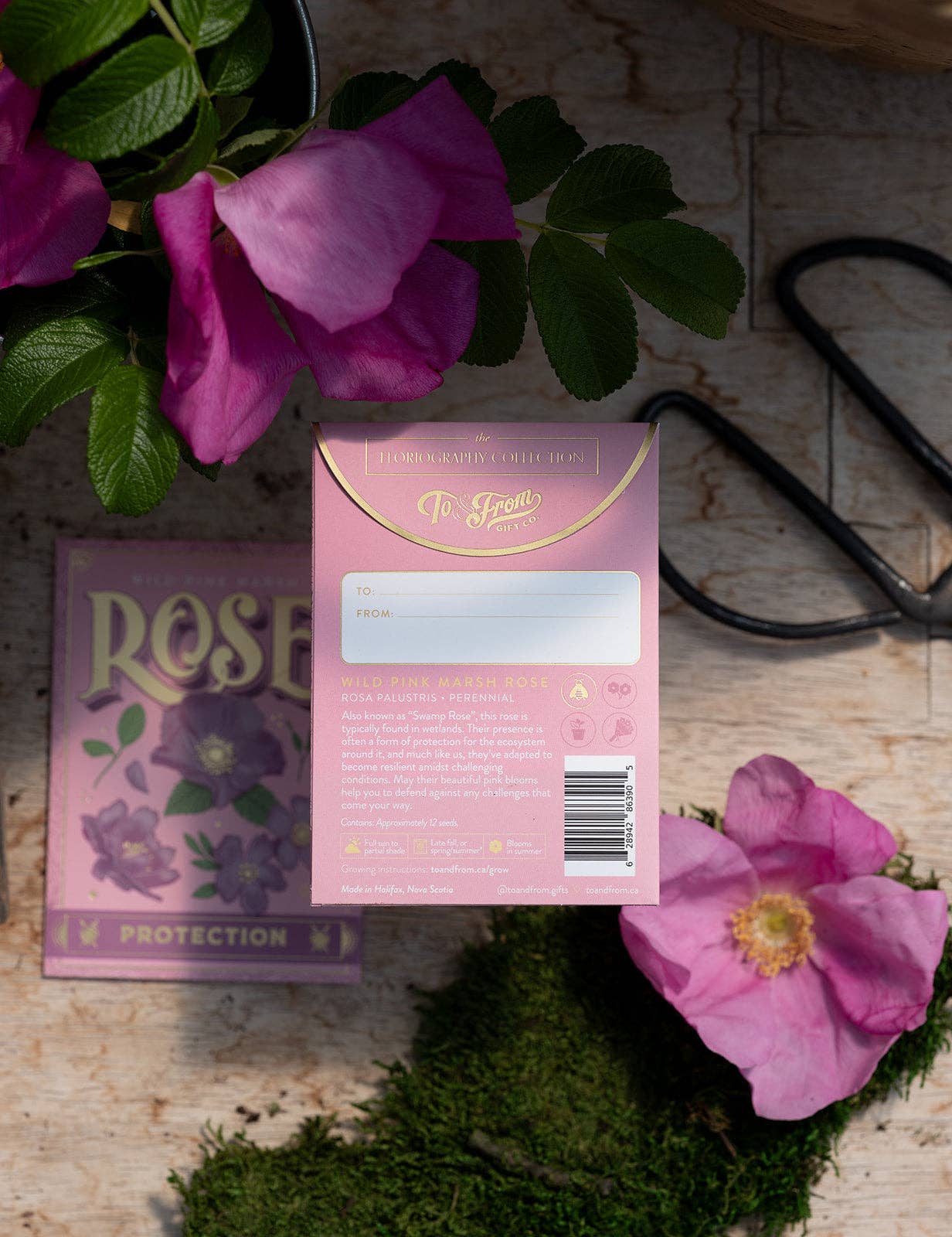 Wild Pink Marsh Rose (Protection) - Floriography Seed Packet