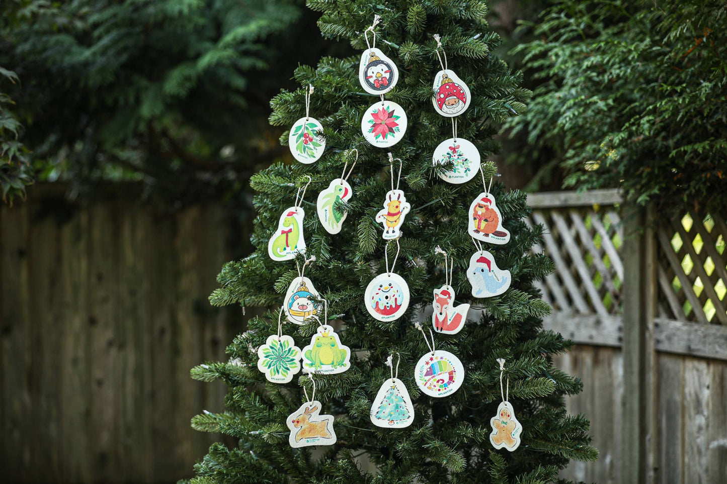 Set of 3 Botanical Bliss Pop up Sponge (Holiday Exclusive): Set of 3