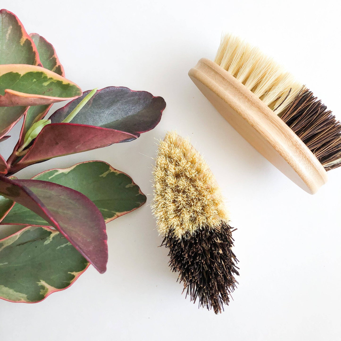 Bamboo Vegetable Brush - Sisal & Palm Bristles