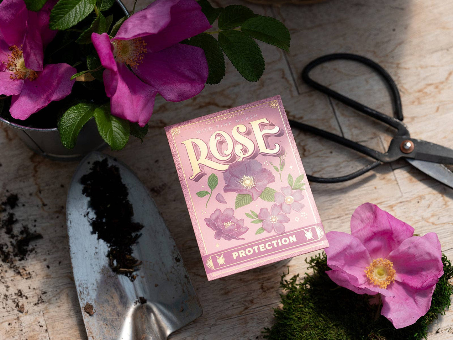 Wild Pink Marsh Rose (Protection) - Floriography Seed Packet