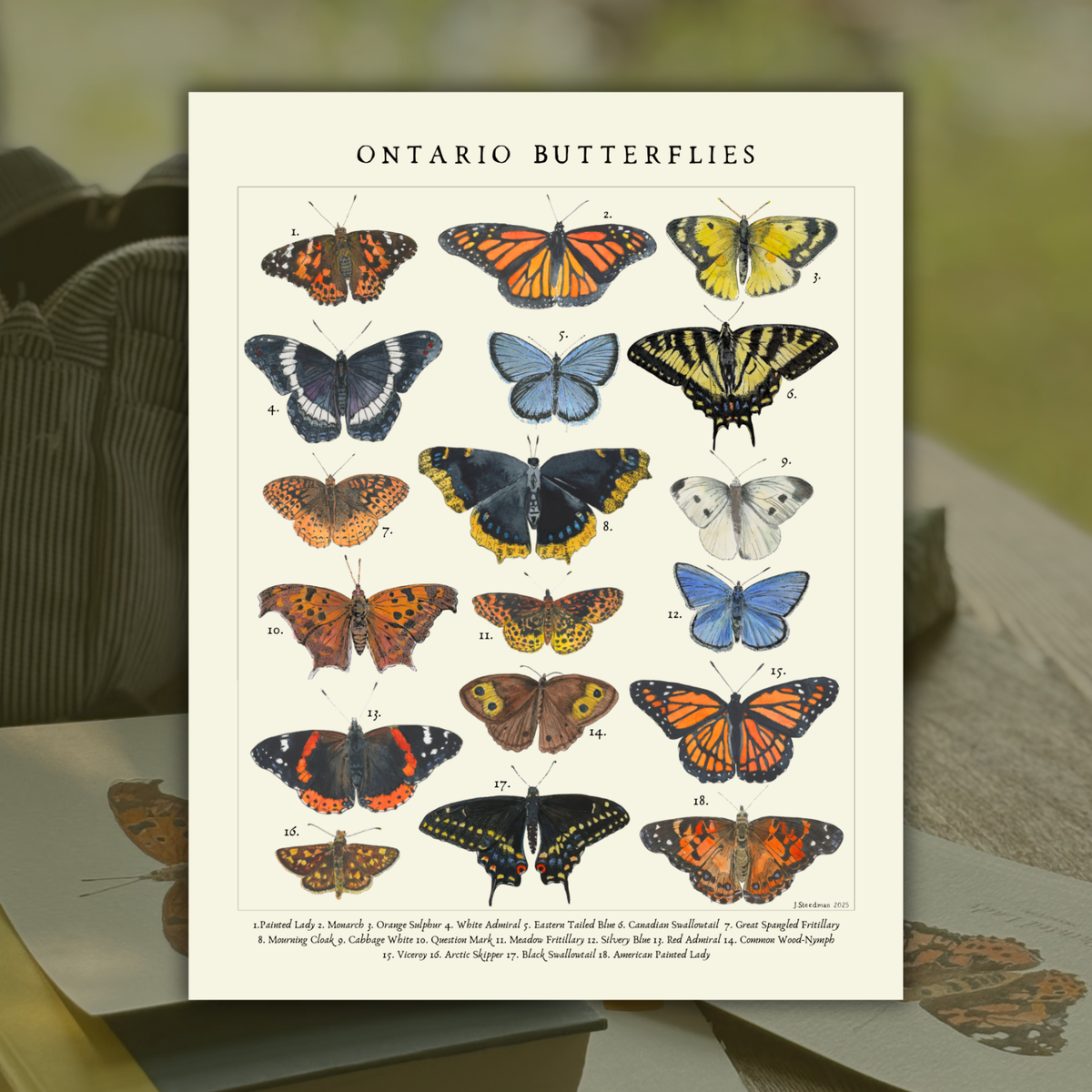 Vintage Style Ontario Butterlies Art Print