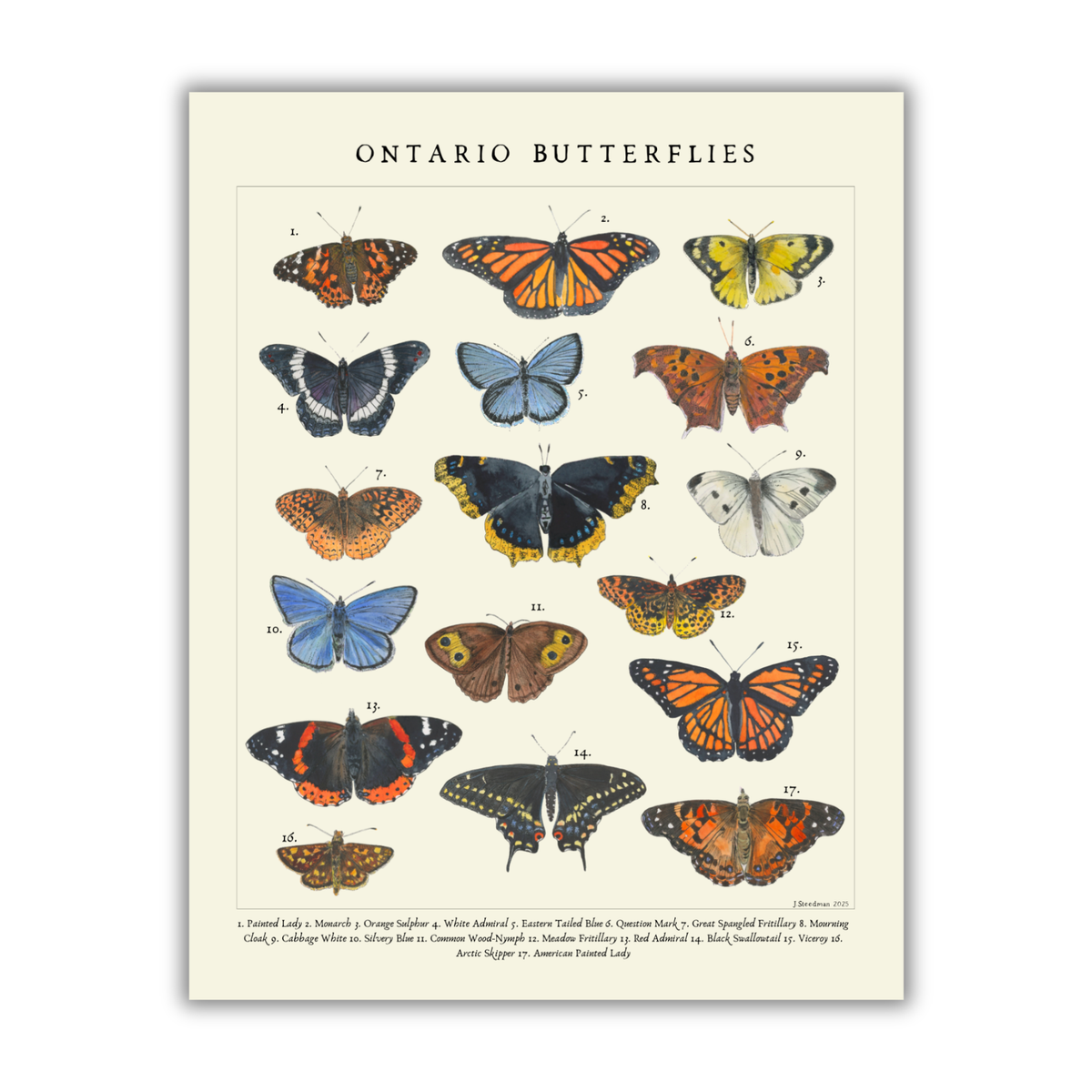 Vintage Style Ontario Butterlies Art Print