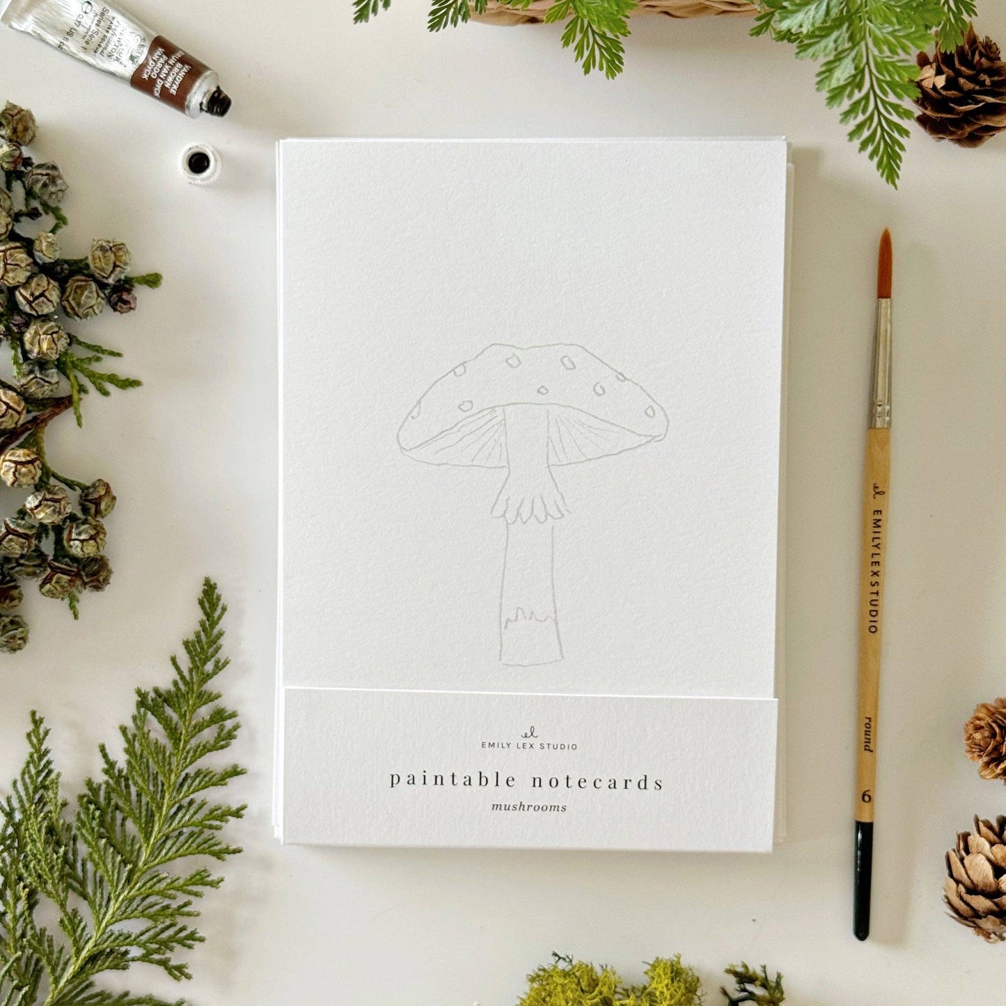 Mushrooms paintable watercolor notecard set