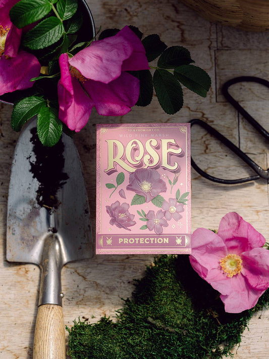 Wild Pink Marsh Rose (Protection) - Floriography Seed Packet