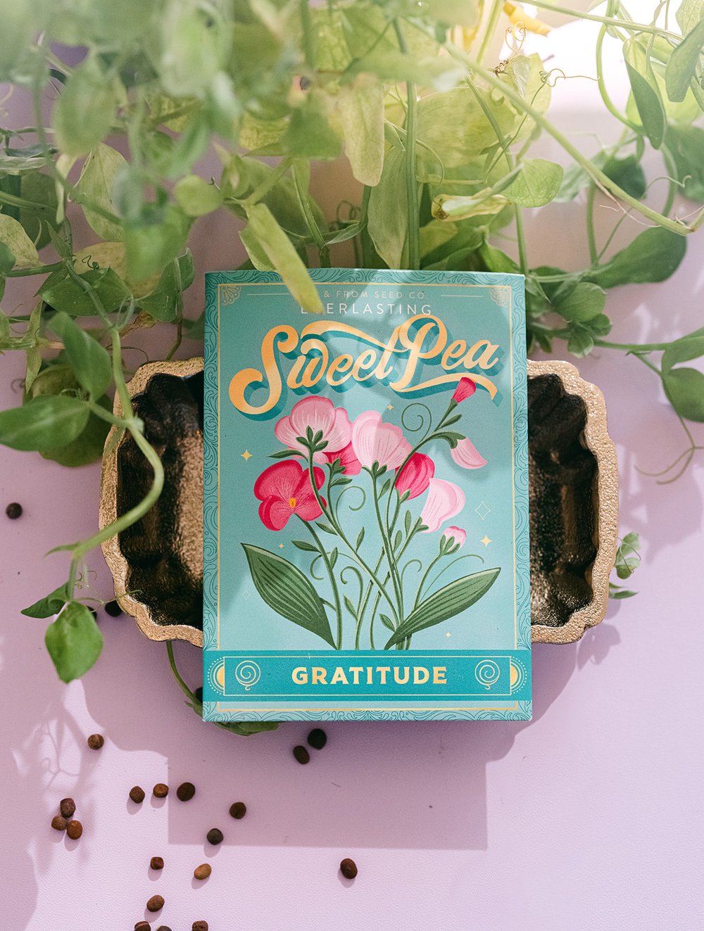 Everlasting Sweet Pea (Gratitude) - Seed Packet