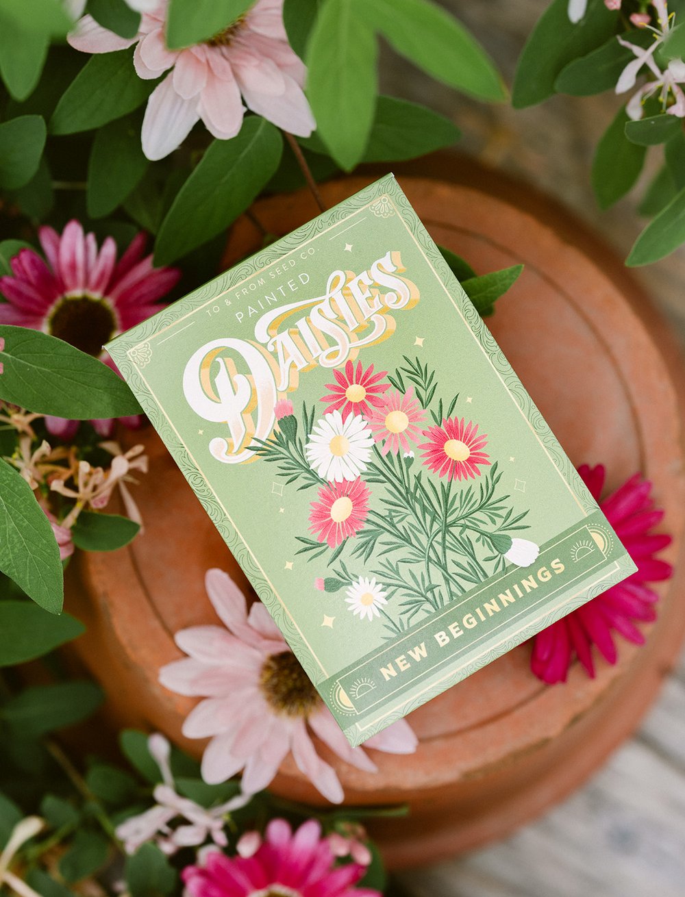 Painted Daisies (New Beginnings) - Seed Packet