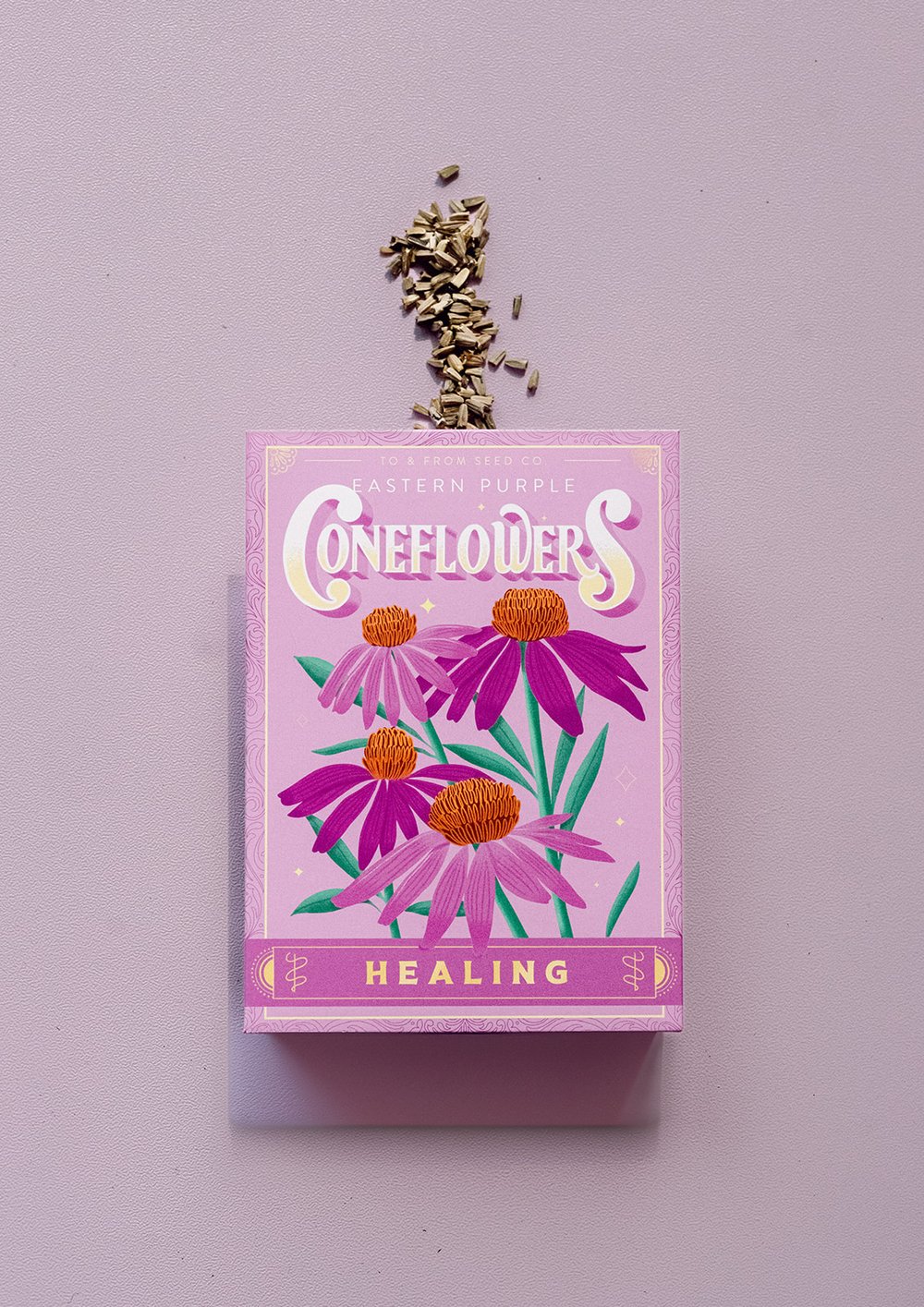 Purple Coneflowers (Healing) - Seed Packet