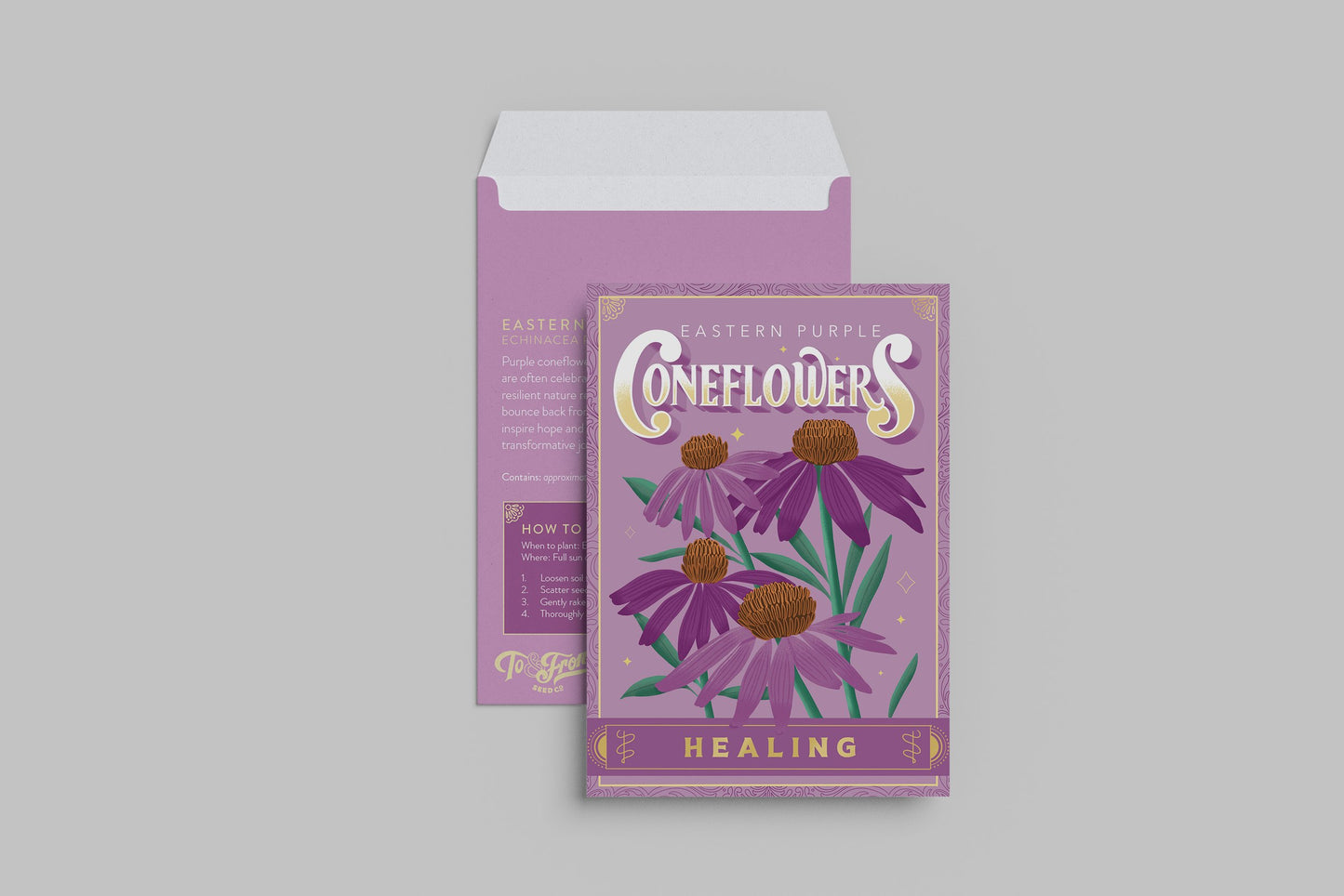 Purple Coneflowers (Healing) - Seed Packet