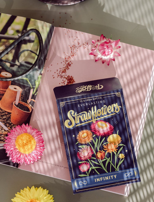 Everlasting Strawflowers (Infinity) - Seed Packet