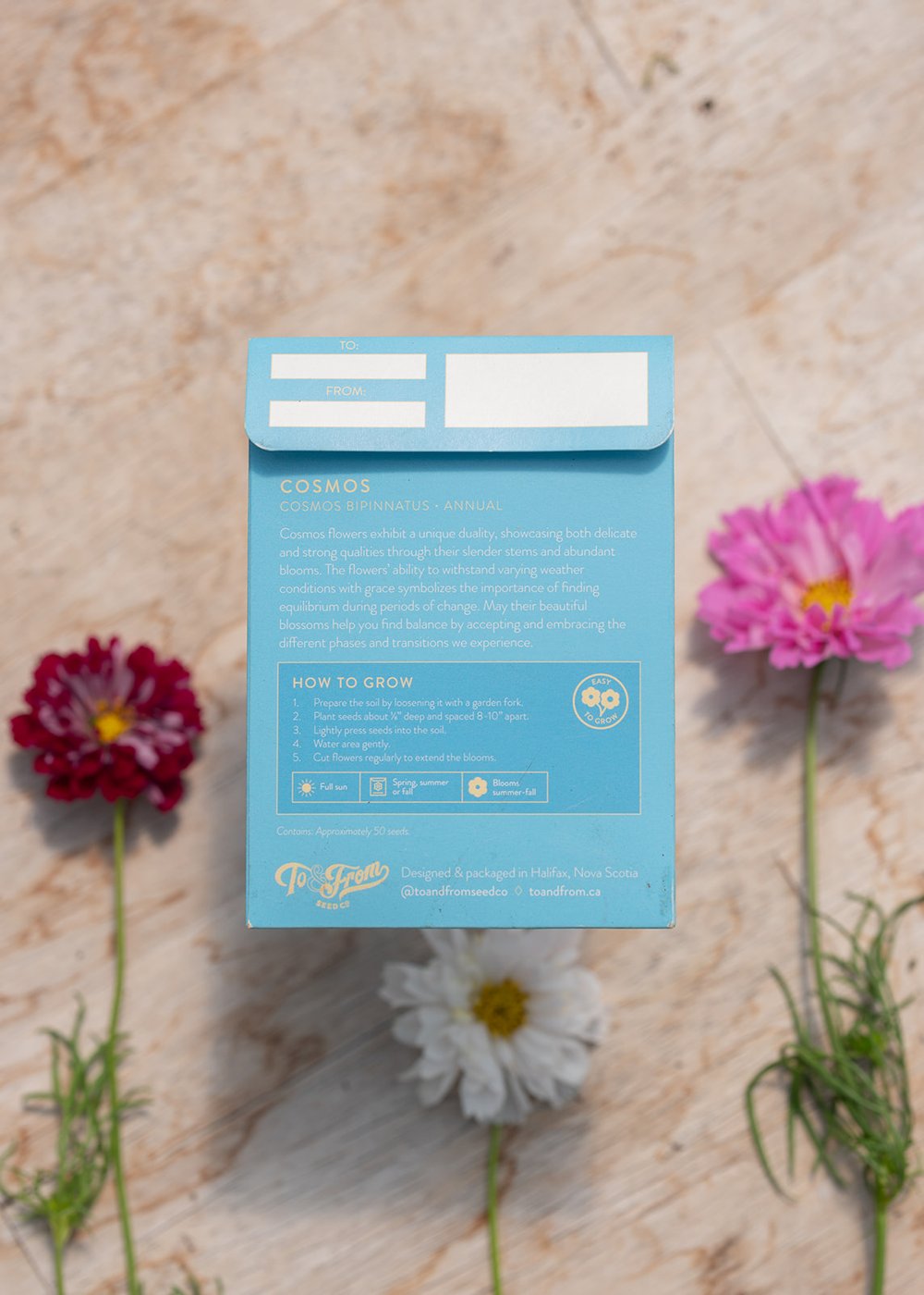 Cosmos (Balance) - Seed Packet