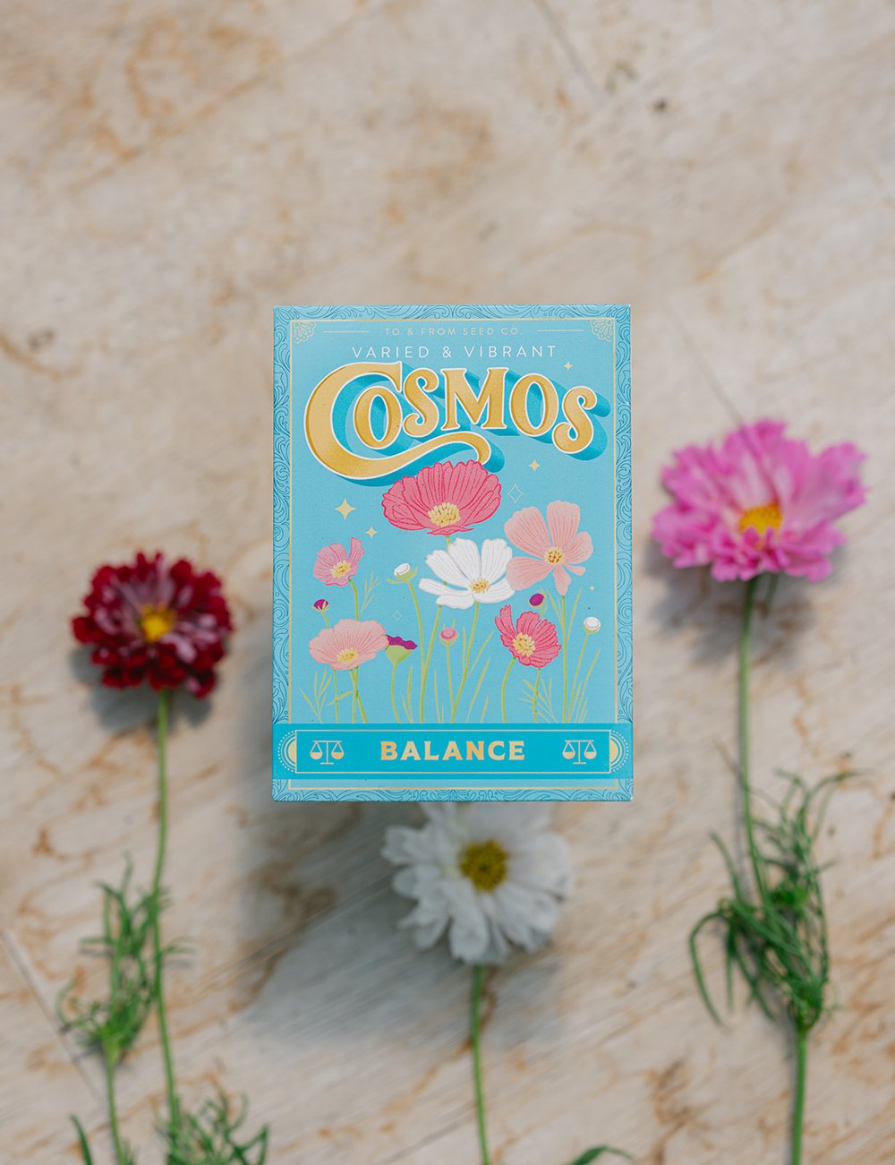 Cosmos (Balance) - Seed Packet