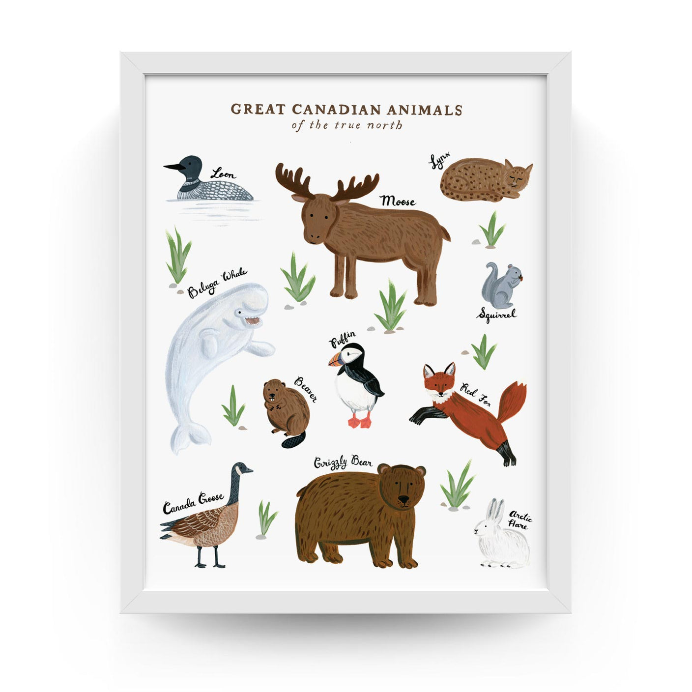 Great Canadian Animals Print