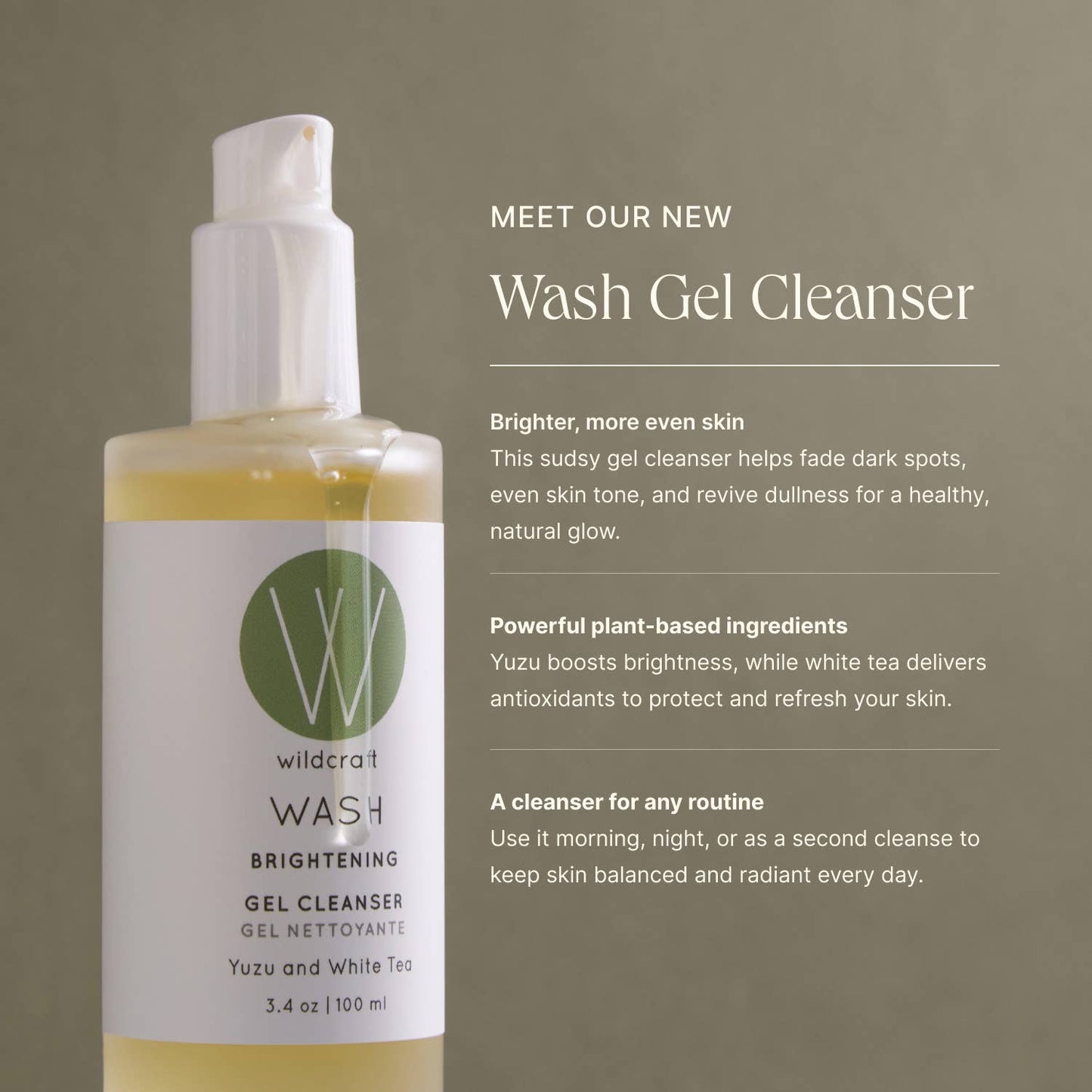 Wash Gel Cleanser
