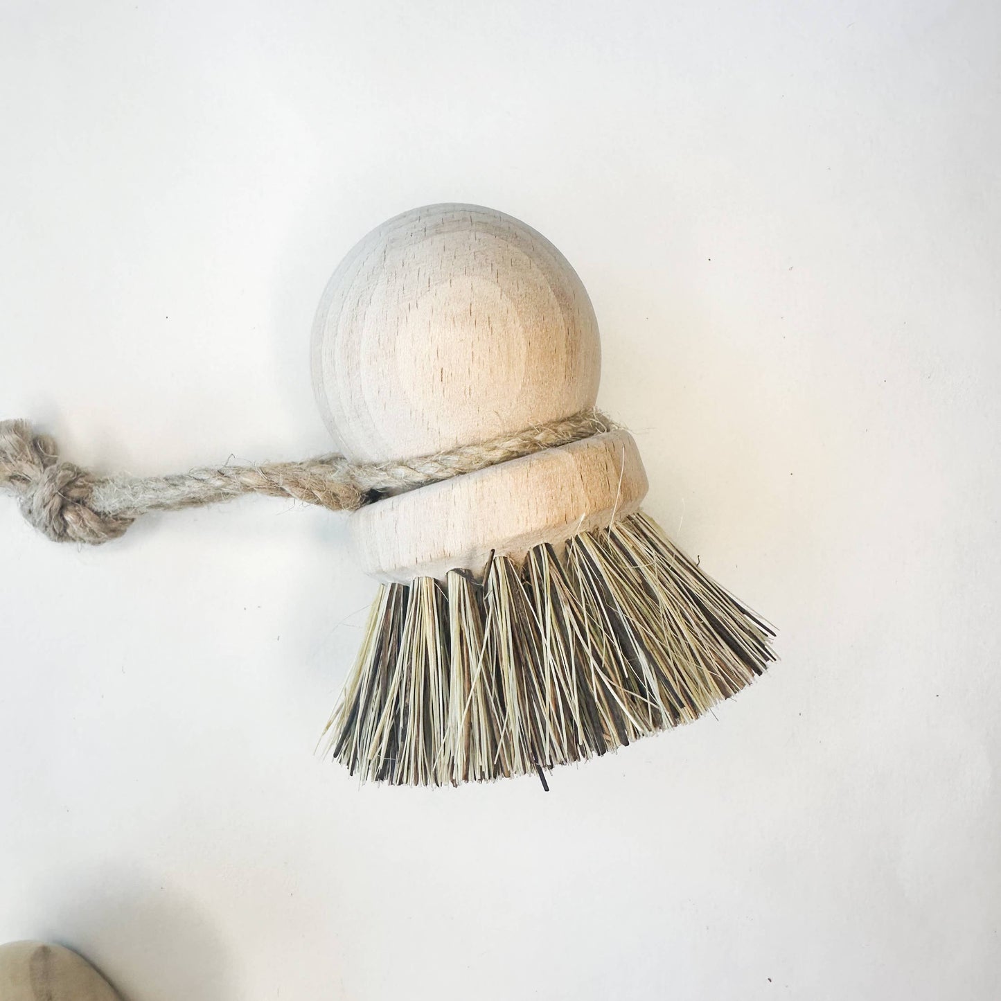 Eco Friendly Dish Brush