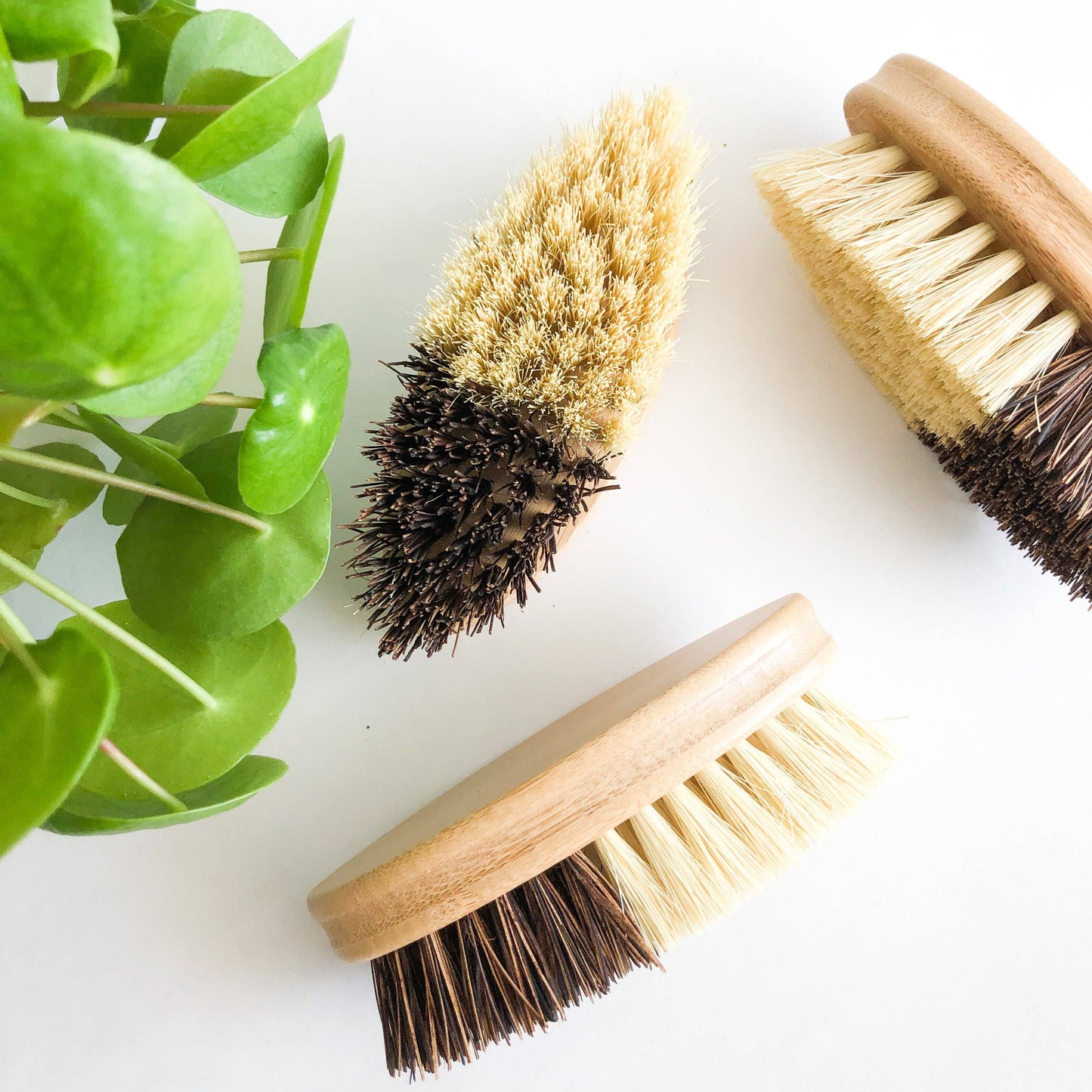 Bamboo Vegetable Brush - Sisal & Palm Bristles